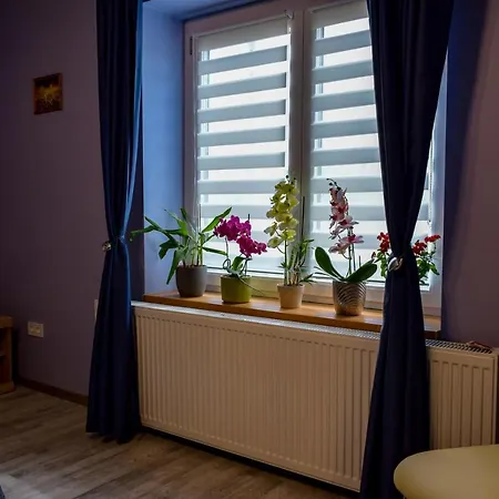Lux Apartment *
